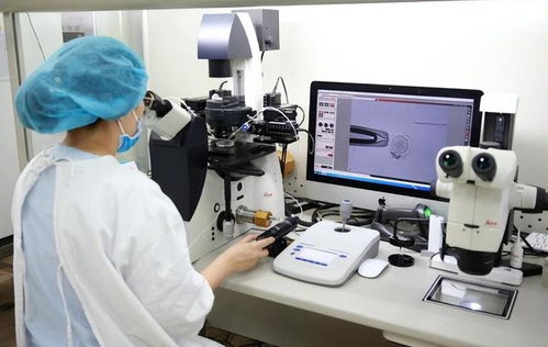 走進海外輔助生殖BRG的背后 以技術(shù)服務(wù)共展生殖新愿景——浙江實踐