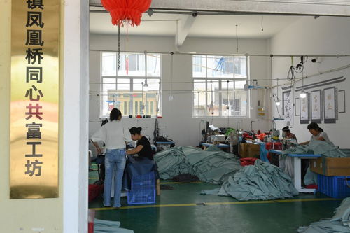 村里建起“沒(méi)有圍墻的工廠”——浙江臨海“共富工坊”以技術(shù)服務(wù)助力農(nóng)民家門(mén)口就業(yè)增收
